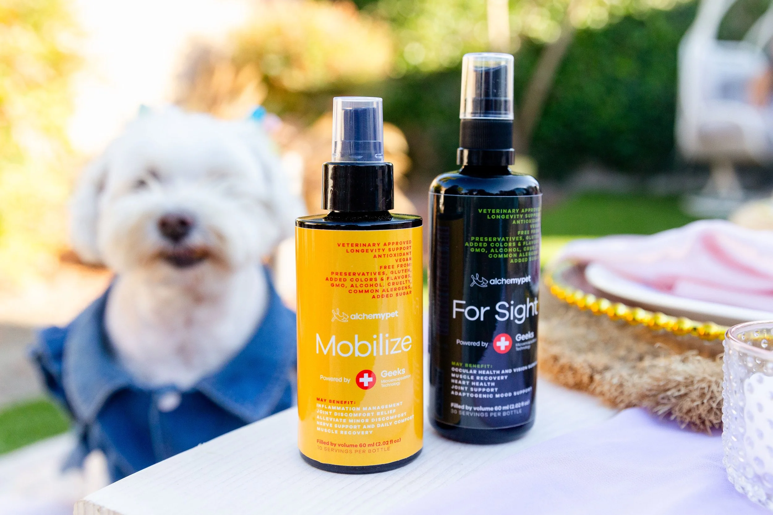 Lengthen Your Dog's Life with Alchemypet Laguna Beach Living Your
